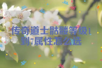 传奇道士骷髅等级1到7属性怎么选