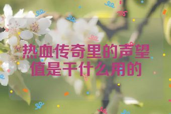 热血传奇里的声望值是干什么用的