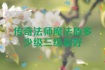 传奇法师魔法盾多少级三级最好
