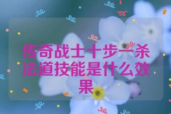 传奇战士十步一杀法道技能是什么效果