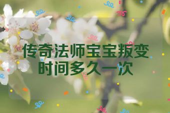 传奇法师宝宝叛变时间多久一次