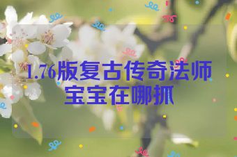 1.76版复古传奇法师宝宝在哪抓