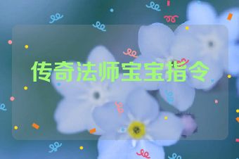 传奇法师宝宝指令
