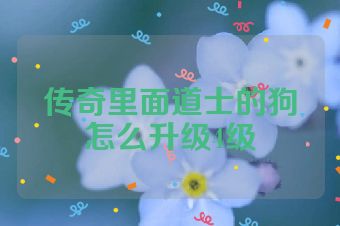 传奇里面道士的狗怎么升级4级