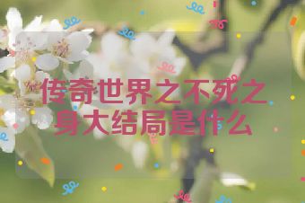 传奇世界之不死之身大结局是什么