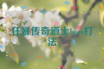 狂暴传奇道士boss打法