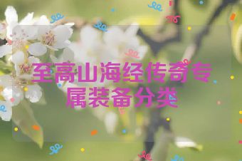 至高山海经传奇专属装备分类