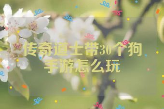 传奇道士带30个狗手游怎么玩