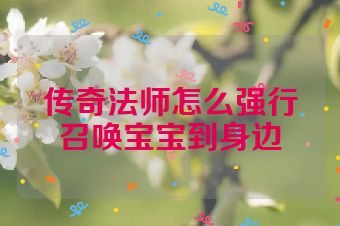 传奇法师怎么强行召唤宝宝到身边