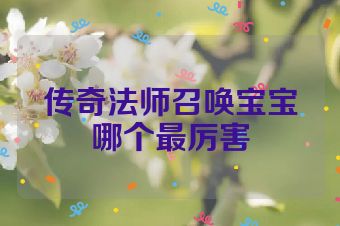 传奇法师召唤宝宝哪个最厉害