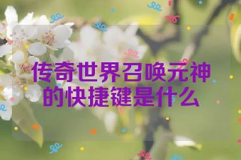传奇世界召唤元神的快捷键是什么