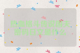 热血格斗传说国夫密码日文是什么