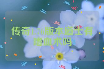 传奇1.76版本道士有嗜血术吗