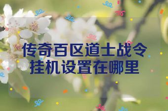 传奇百区道士战令挂机设置在哪里