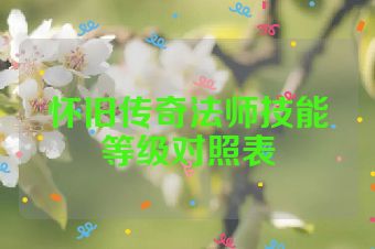 怀旧传奇法师技能等级对照表