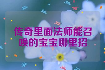 传奇里面法师能召唤的宝宝哪里招