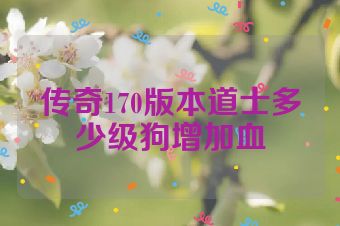 传奇170版本道士多少级狗增加血