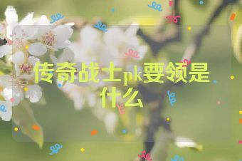 传奇战士pk要领是什么