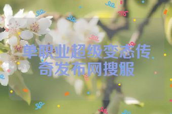 单职业超级变态传奇发布网搜服