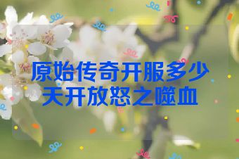 原始传奇开服多少天开放怒之噬血