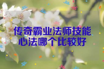 传奇霸业法师技能心法哪个比较好