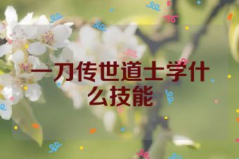 一刀传世道士学什么技能