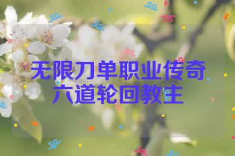 无限刀单职业传奇六道轮回教主