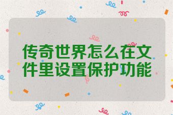 传奇世界怎么在文件里设置保护功能