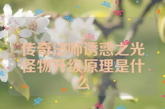 传奇法师诱惑之光怪物升级原理是什么