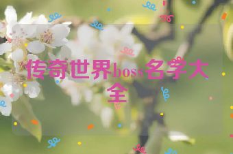 传奇世界boss名字大全