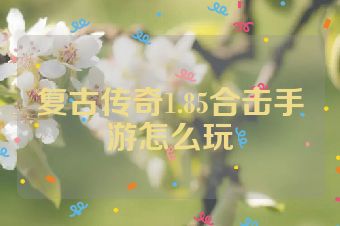 复古传奇1.85合击手游怎么玩