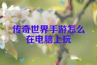 传奇世界手游怎么在电脑上玩