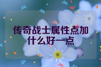 传奇战士属性点加什么好一点