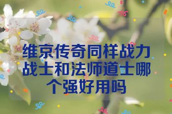 维京传奇同样战力战士和法师道士哪个强好用吗