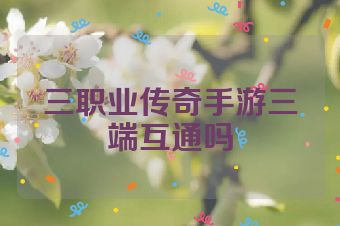 三职业传奇手游三端互通吗