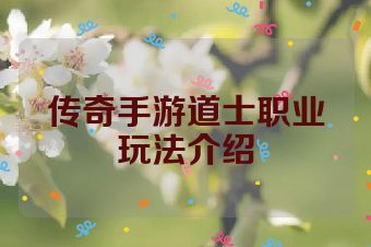 传奇手游道士职业玩法介绍