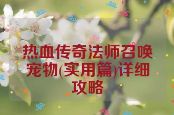 热血传奇法师召唤宠物(实用篇)详细攻略