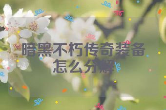 暗黑不朽传奇装备怎么分解