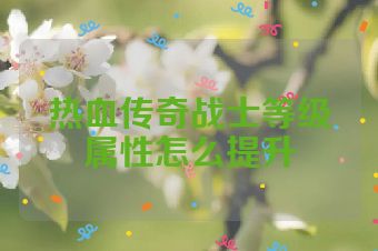 热血传奇战士等级属性怎么提升