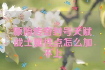 原始传奇封号天赋战士属性点怎么加不上