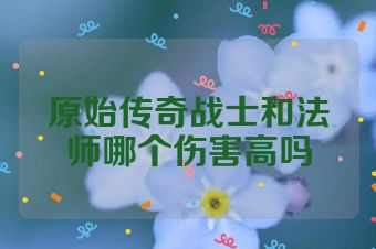 原始传奇战士和法师哪个伤害高吗
