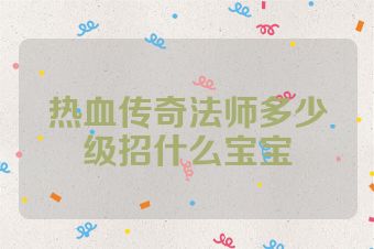 热血传奇法师多少级招什么宝宝