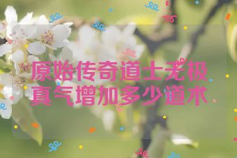 原始传奇道士无极真气增加多少道术