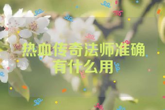 热血传奇法师准确有什么用