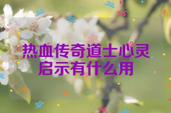 热血传奇道士心灵启示有什么用