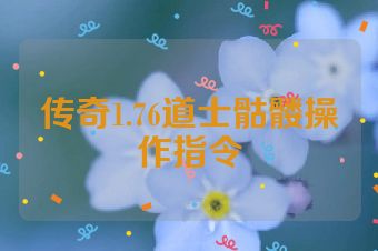 传奇1.76道士骷髅操作指令