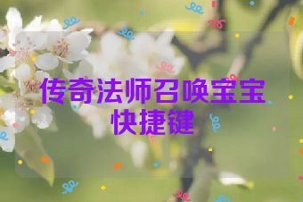 传奇法师召唤宝宝快捷键