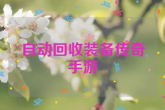 自动回收装备传奇手游