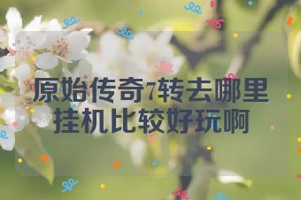 原始传奇7转去哪里挂机比较好玩啊