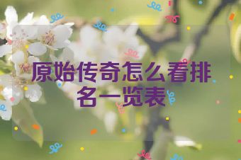 原始传奇怎么看排名一览表